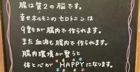 腸内環境